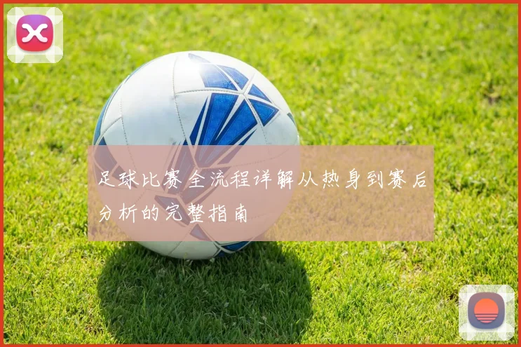 足球比赛全流程详解从热身到赛后分析的完整指南
