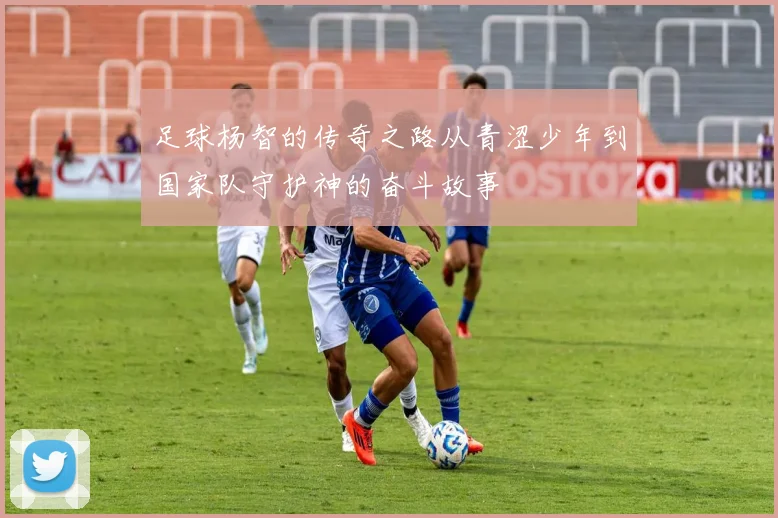 足球杨智的传奇之路从青涩少年到国家队守护神的奋斗故事