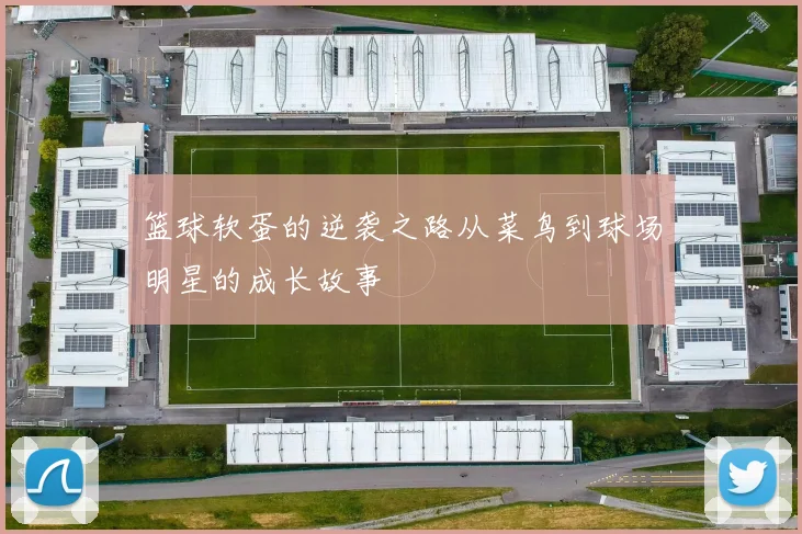 篮球软蛋的逆袭之路从菜鸟到球场明星的成长故事