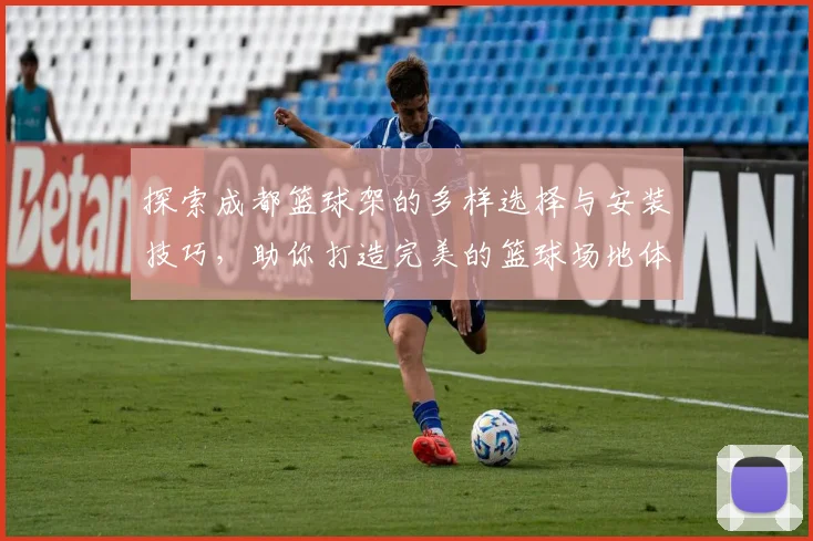 探索成都篮球架的多样选择与安装技巧，助你打造完美的篮球场地体验