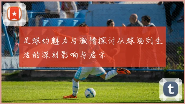 足球的魅力与激情探讨从球场到生活的深刻影响与启示