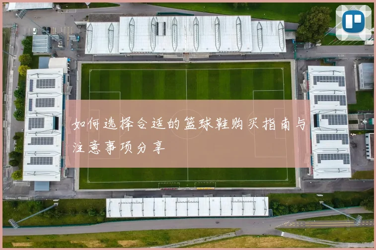 如何选择合适的篮球鞋购买指南与注意事项分享