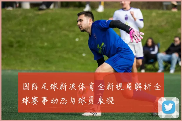 国际足球新浪体育全新视角解析全球赛事动态与球员表现